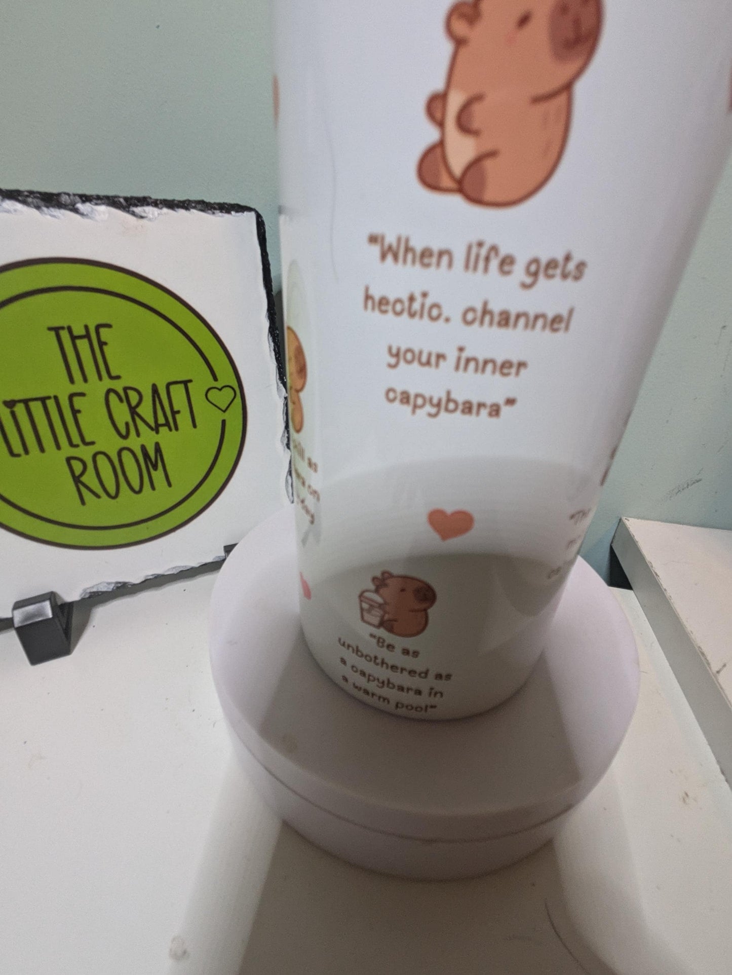 Capybara affirmations. 20 oz skinny tumbler. Capy lover. School Cup Mug Gift. Secret santa. Meme. Funny. Stainless steel coffee tumbler.