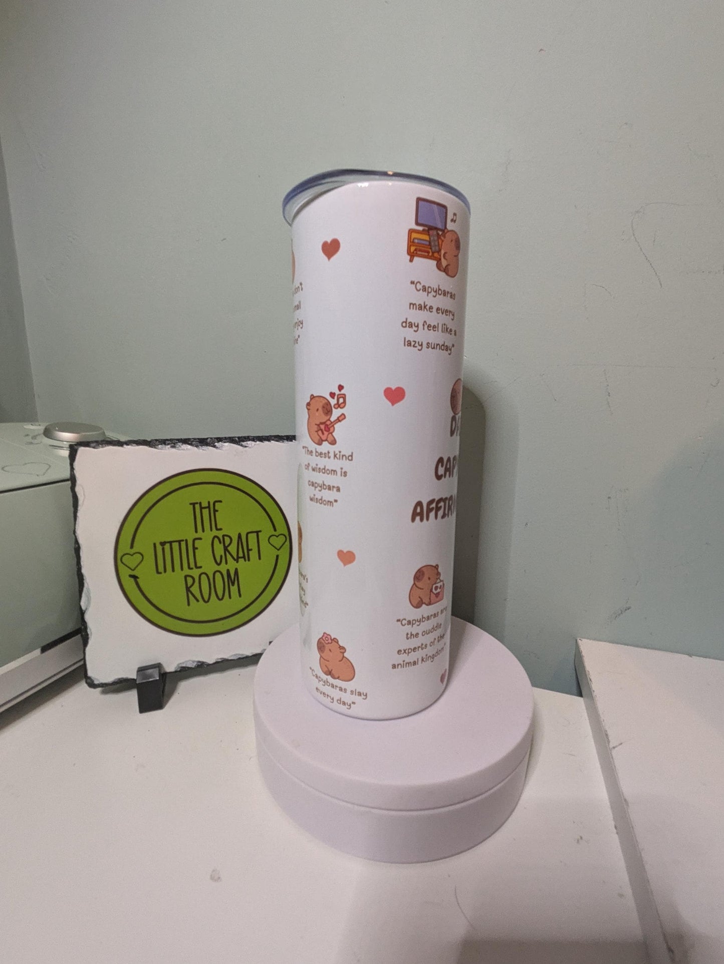 Capybara affirmations. 20 oz skinny tumbler. Capy lover. School Cup Mug Gift. Secret santa. Meme. Funny. Stainless steel coffee tumbler.