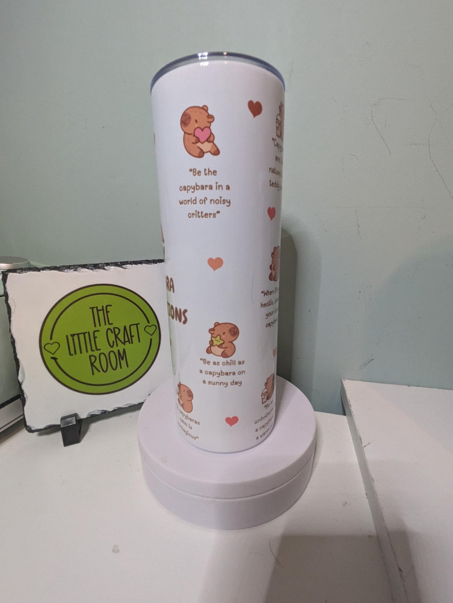 Capybara affirmations. 20 oz skinny tumbler. Capy lover. School Cup Mug Gift. Secret santa. Meme. Funny. Stainless steel coffee tumbler.