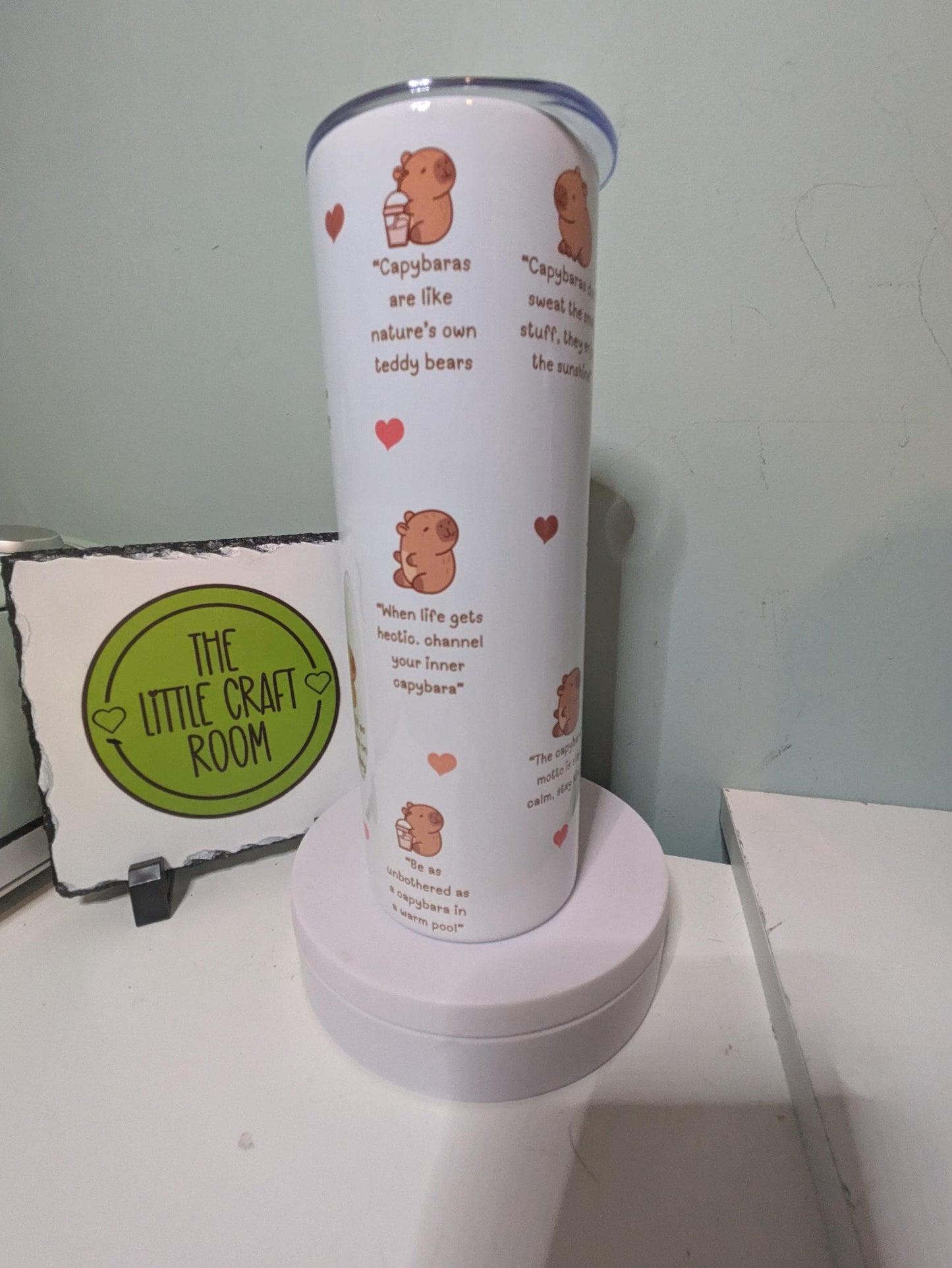 Capybara affirmations. 20 oz skinny tumbler. Capy lover. School Cup Mug Gift. Secret santa. Meme. Funny. Stainless steel coffee tumbler.