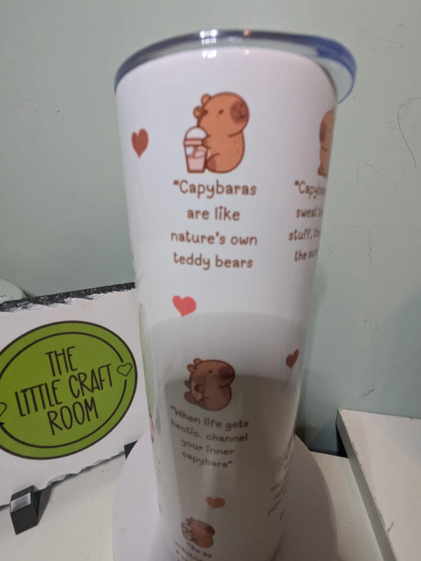 Capybara affirmations. 20 oz skinny tumbler. Capy lover. School Cup Mug Gift. Secret santa. Meme. Funny. Stainless steel coffee tumbler.