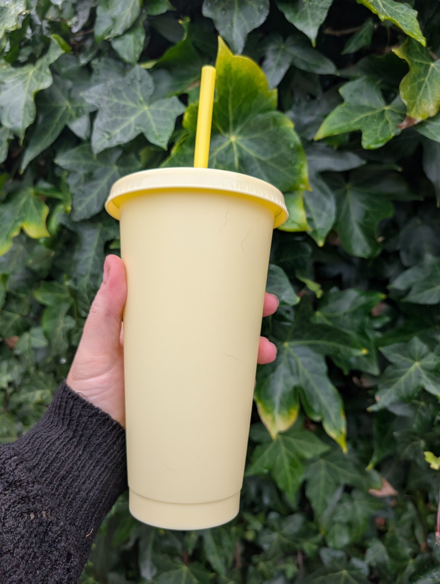 24oz Cold Cups