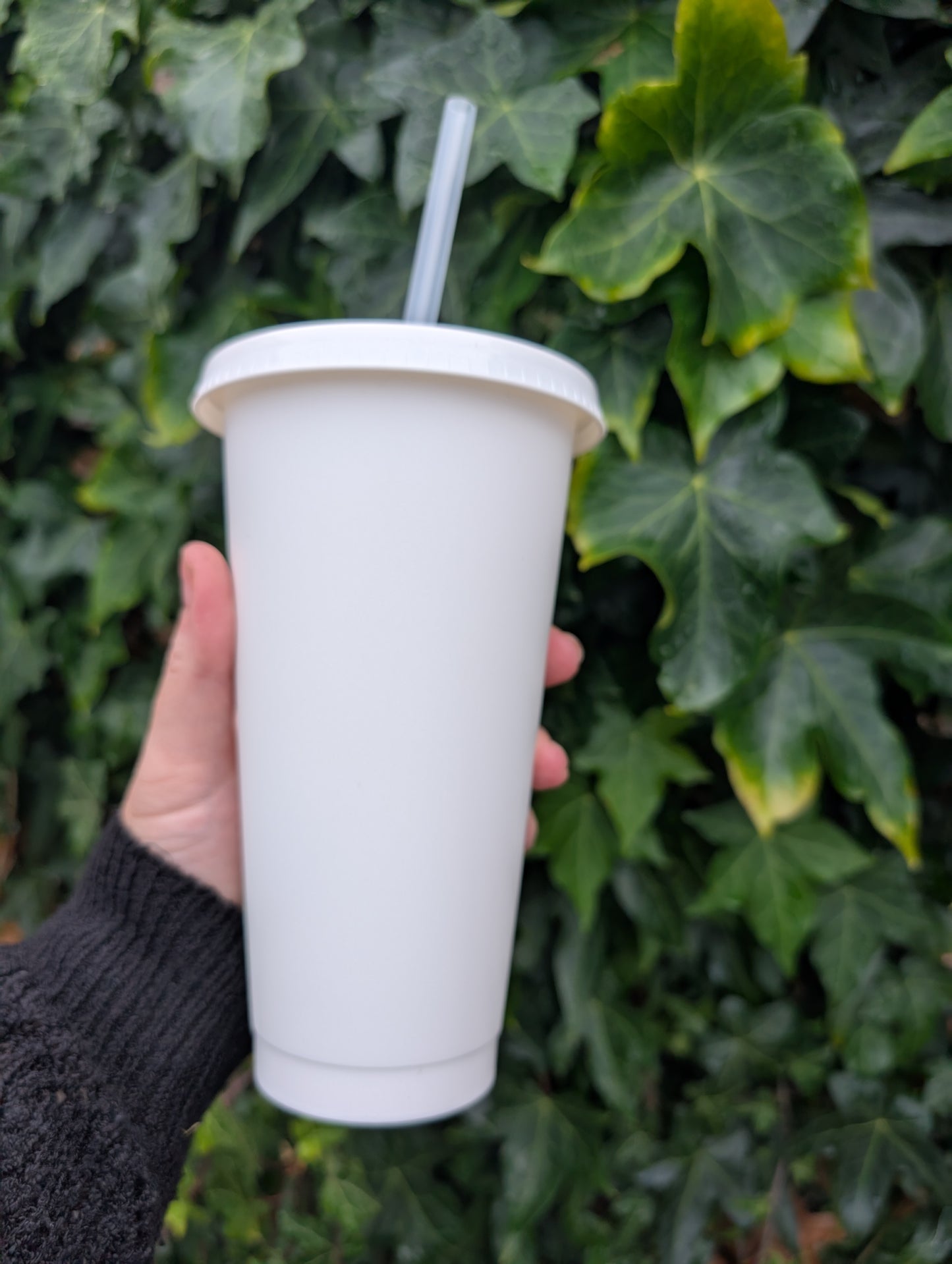 24oz Cold Cups