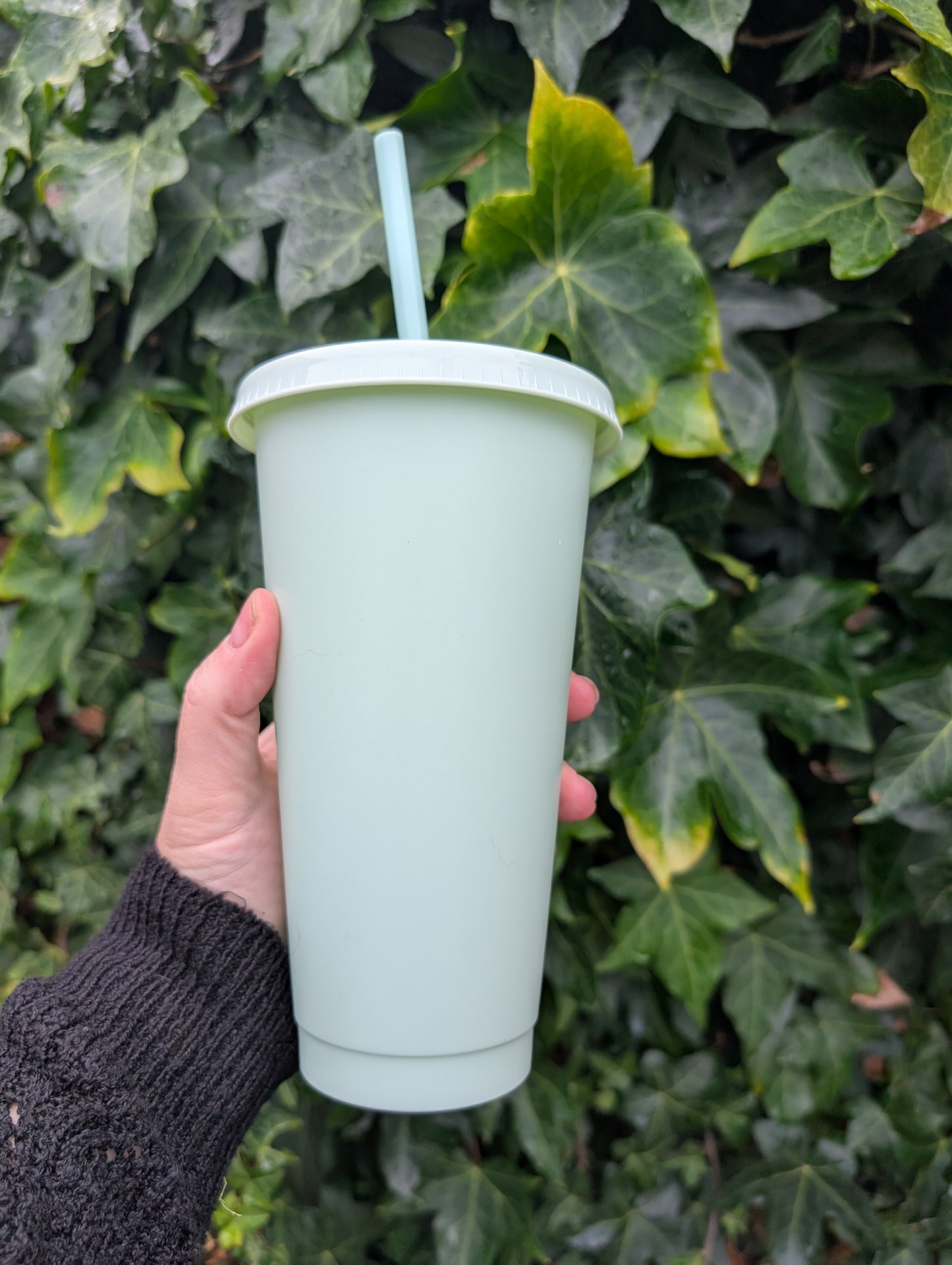 24oz Cold Cups
