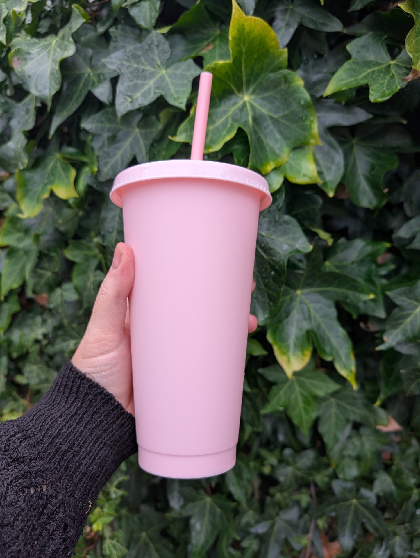 24oz Cold Cups