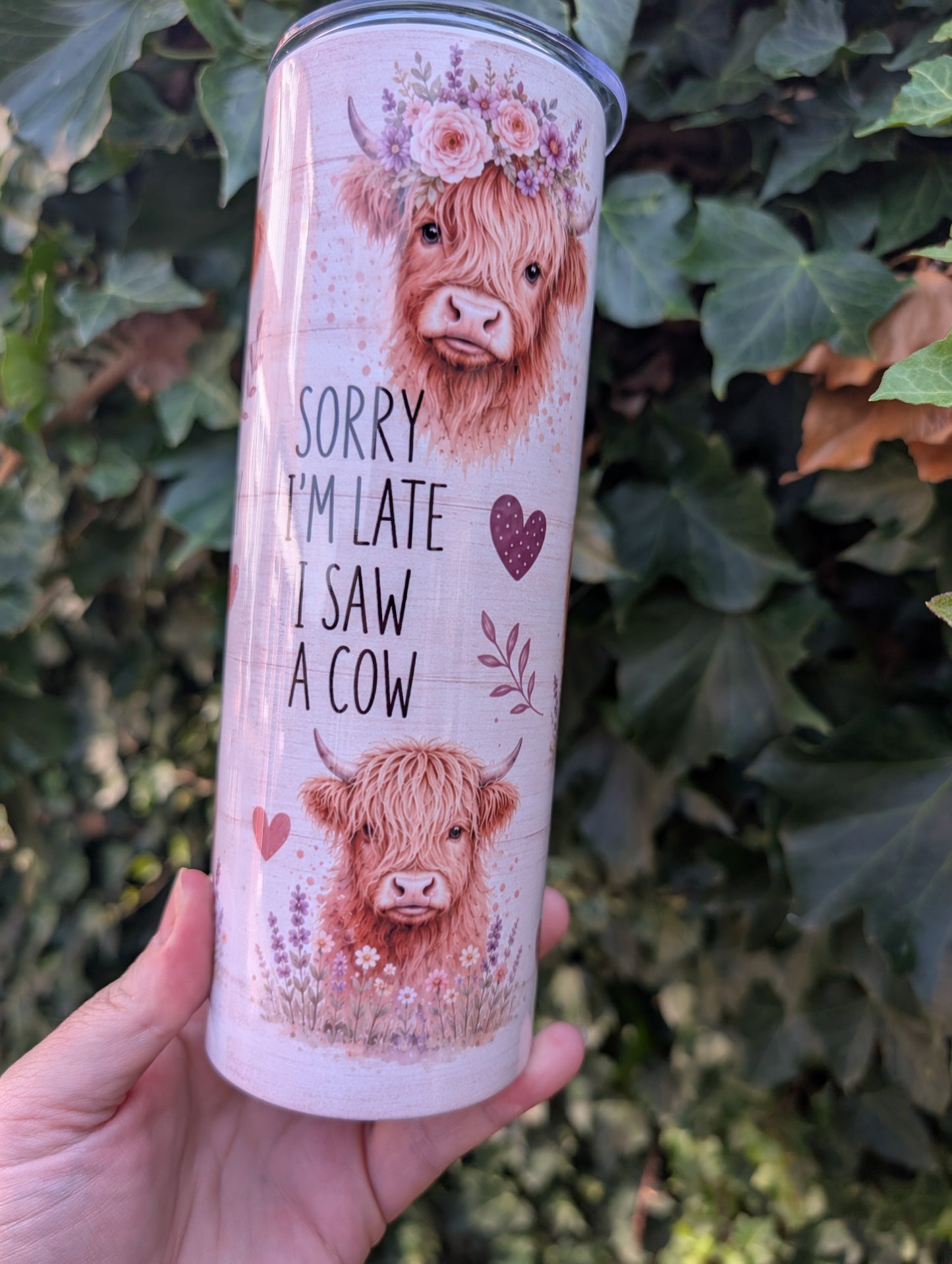 Highland cow funny phases 20oz tumbler