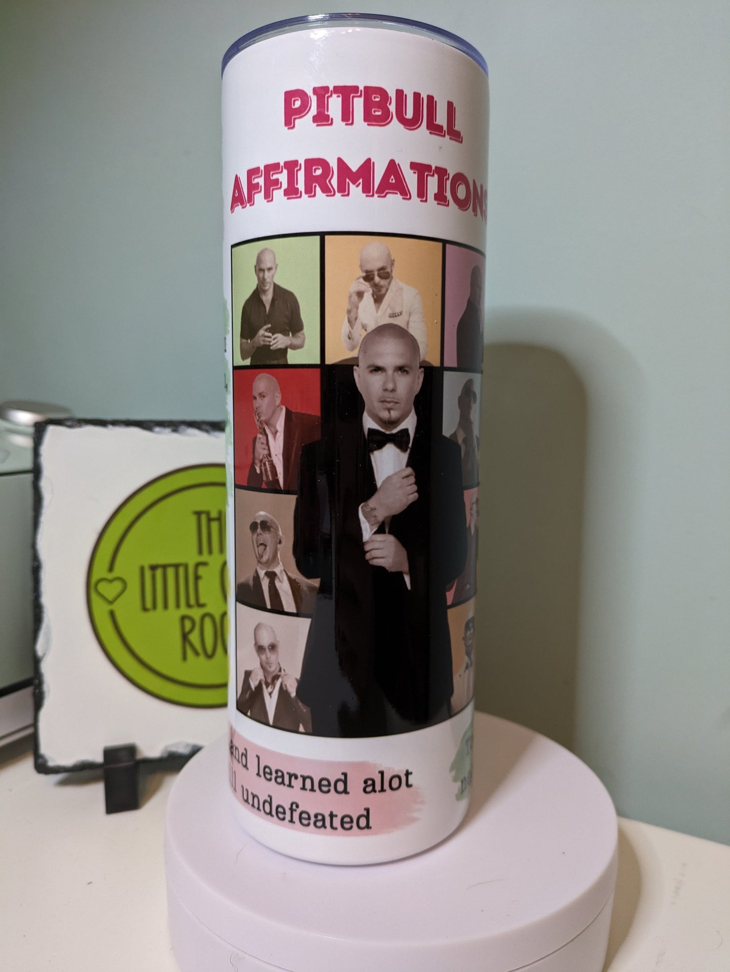 Mr Worldwide Eras tour affirmations quotes skinny tumbler gift
