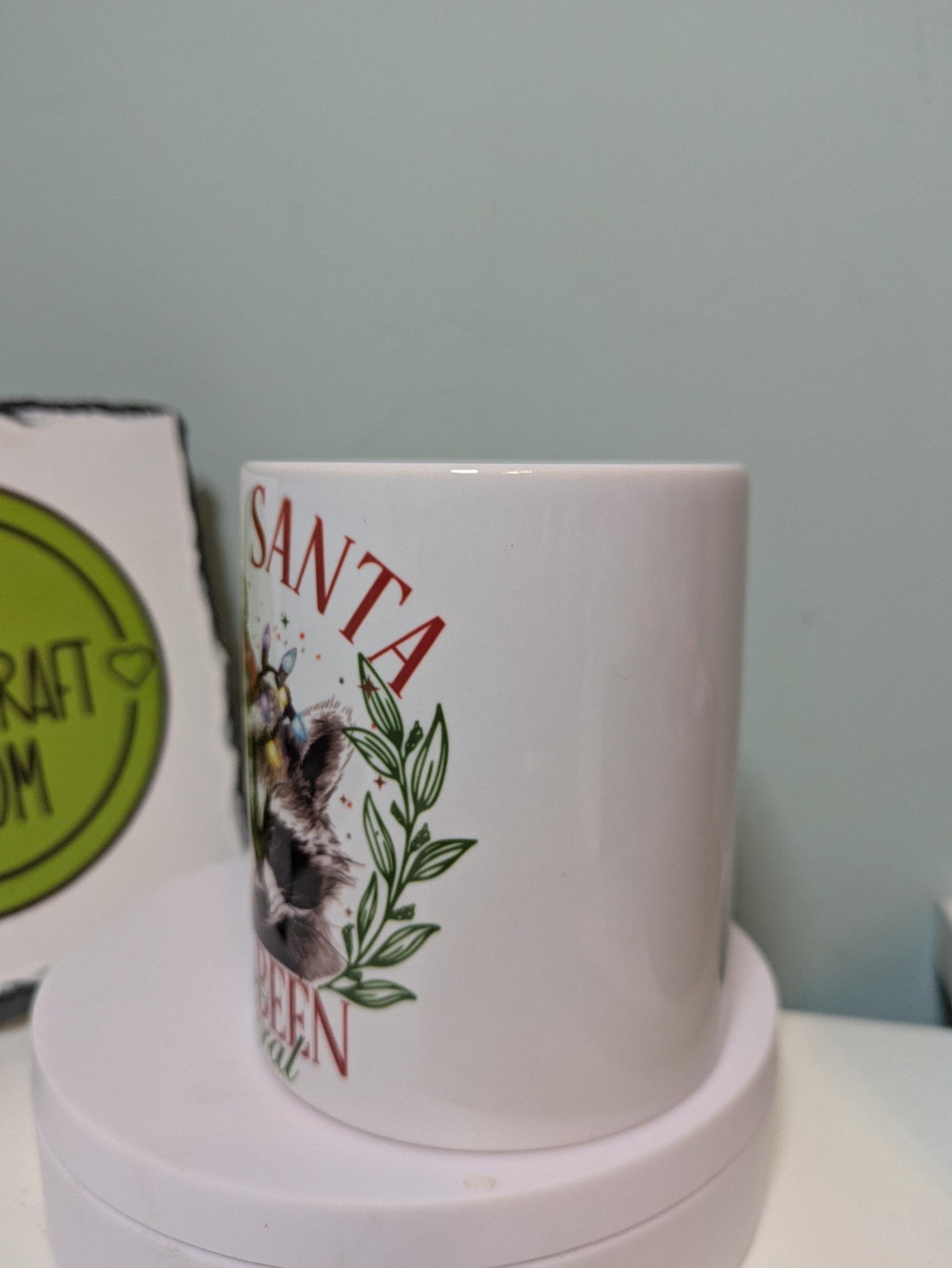 Sorry Santa I've been feral racoon mug
