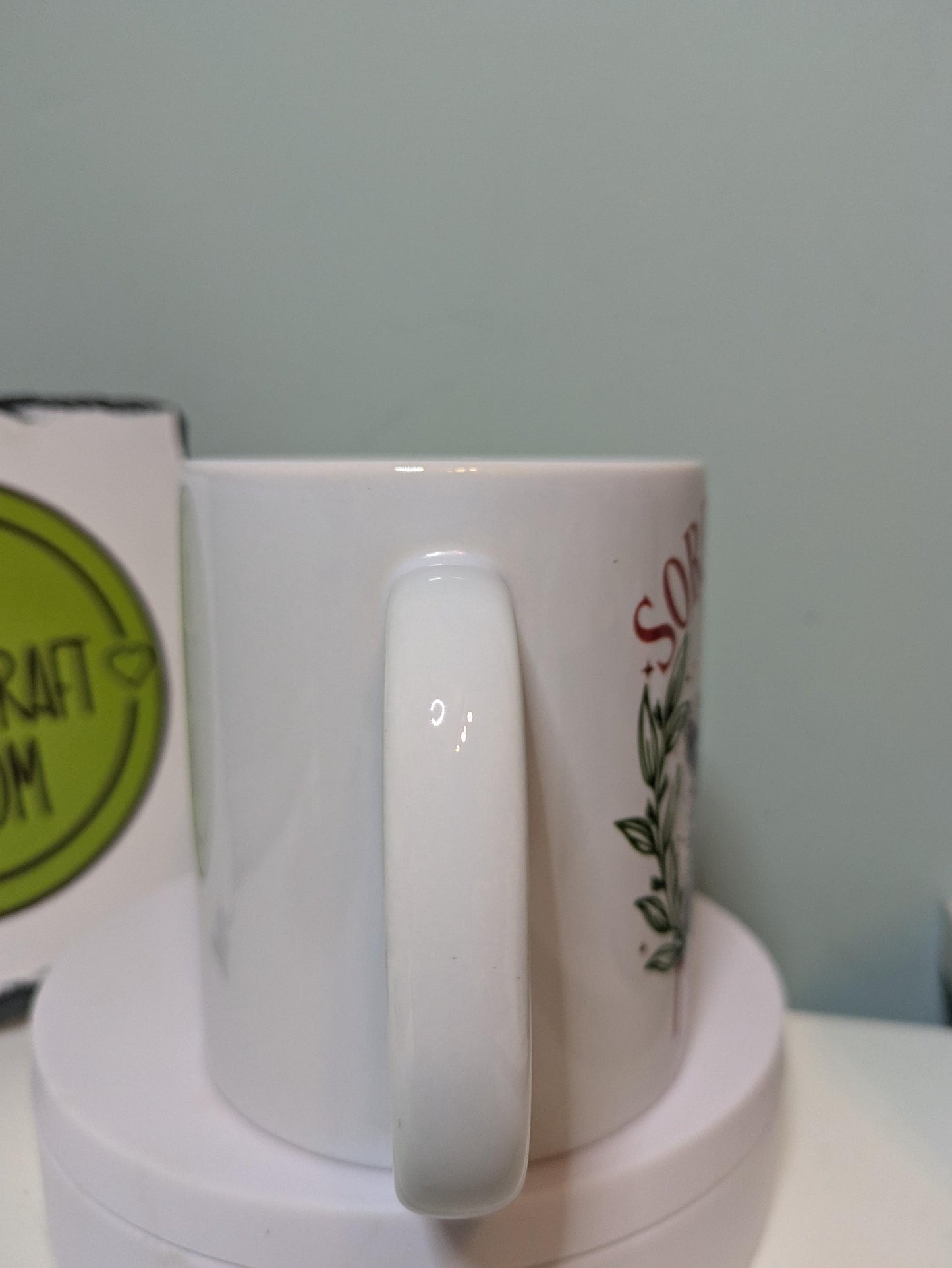 Sorry Santa I've been feral racoon mug
