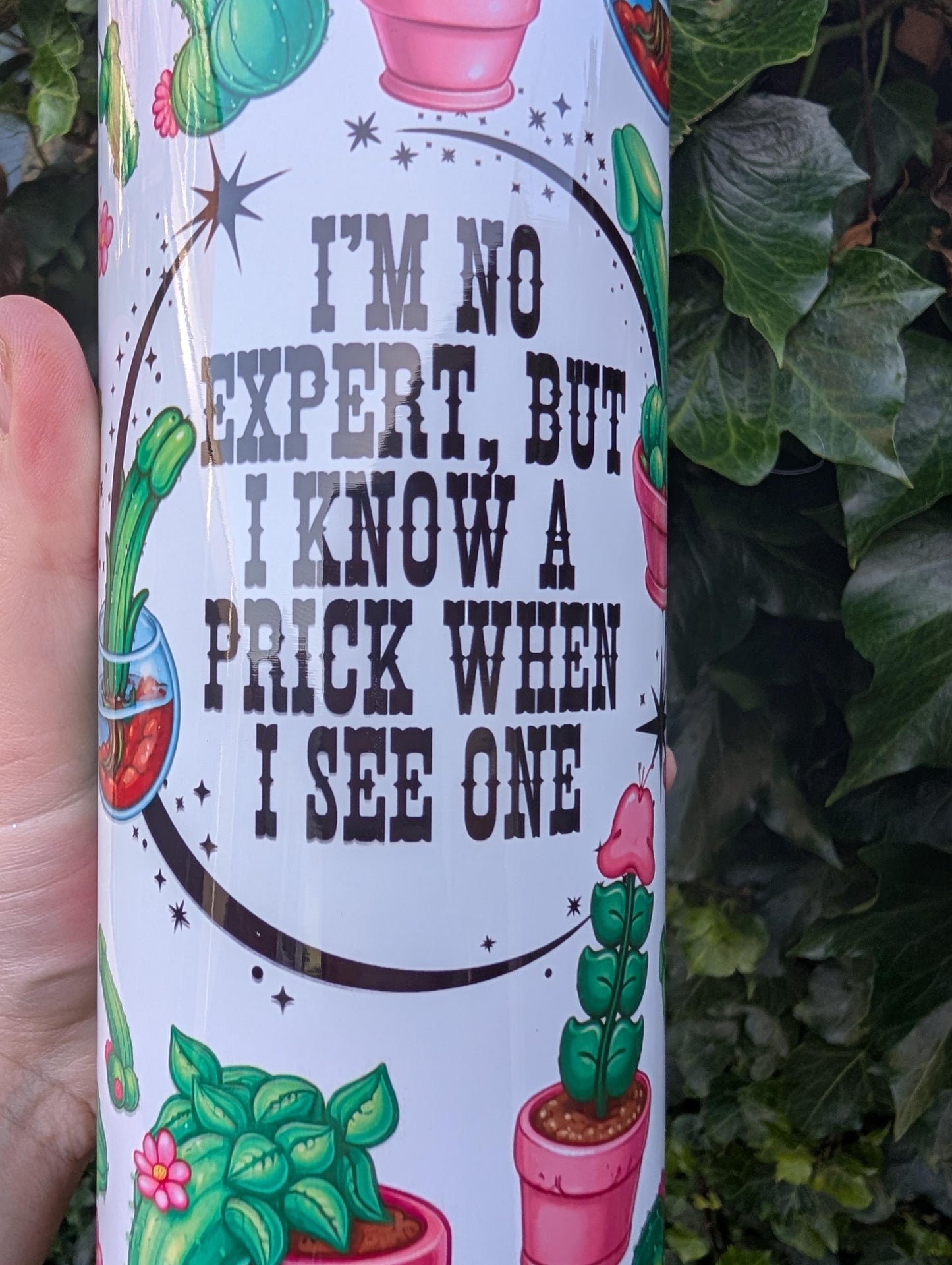 Funny Cactus Tumbler, Rude Prick Quote, 20oz Insulated Travel Cup,