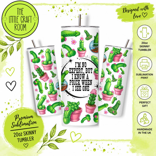 Funny Cactus Tumbler, Rude Prick Quote, 20oz Insulated Travel Cup,