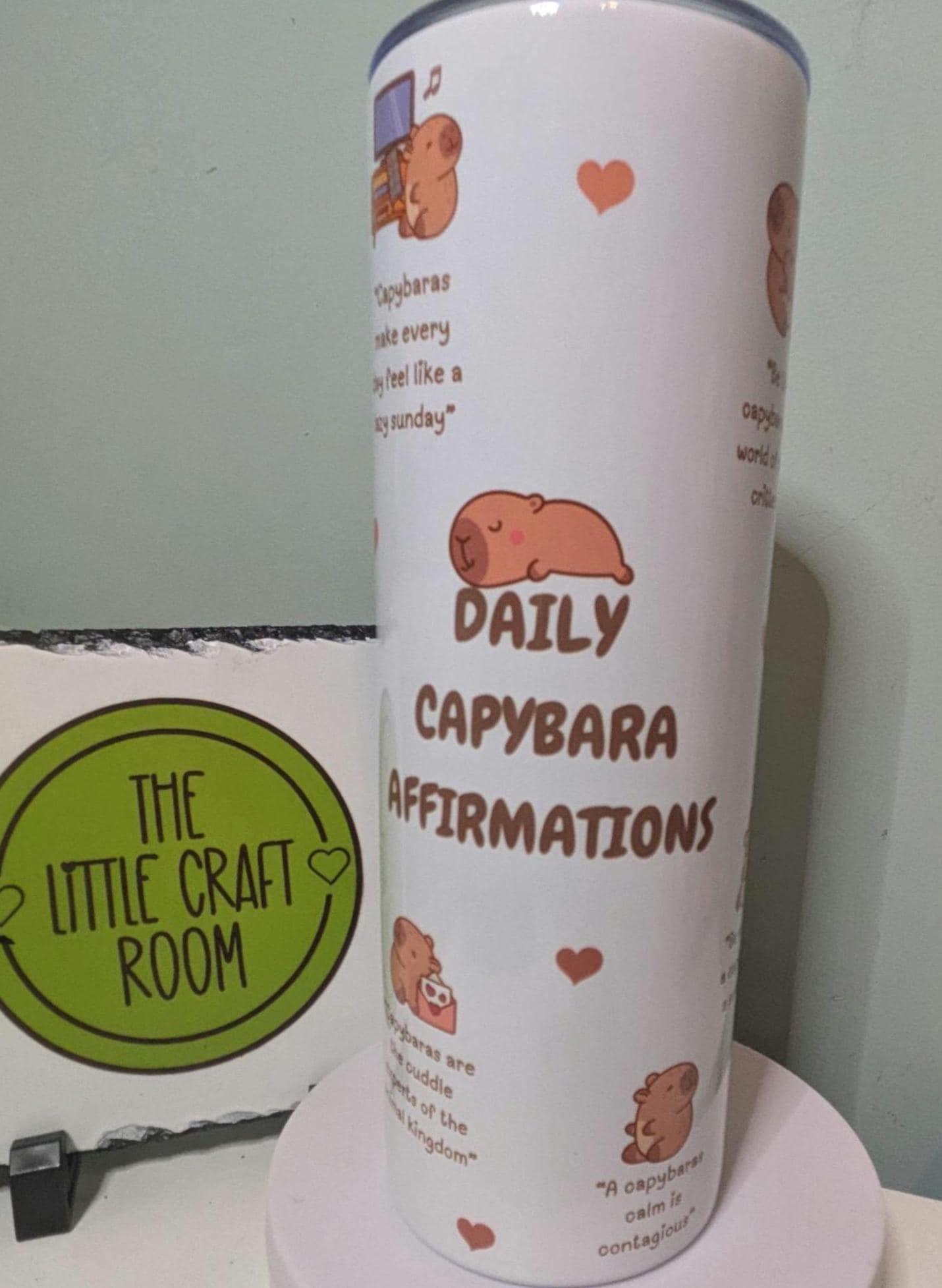 Capybara Affirmations Tumbler, Funny 20oz Insulated Travel Cup