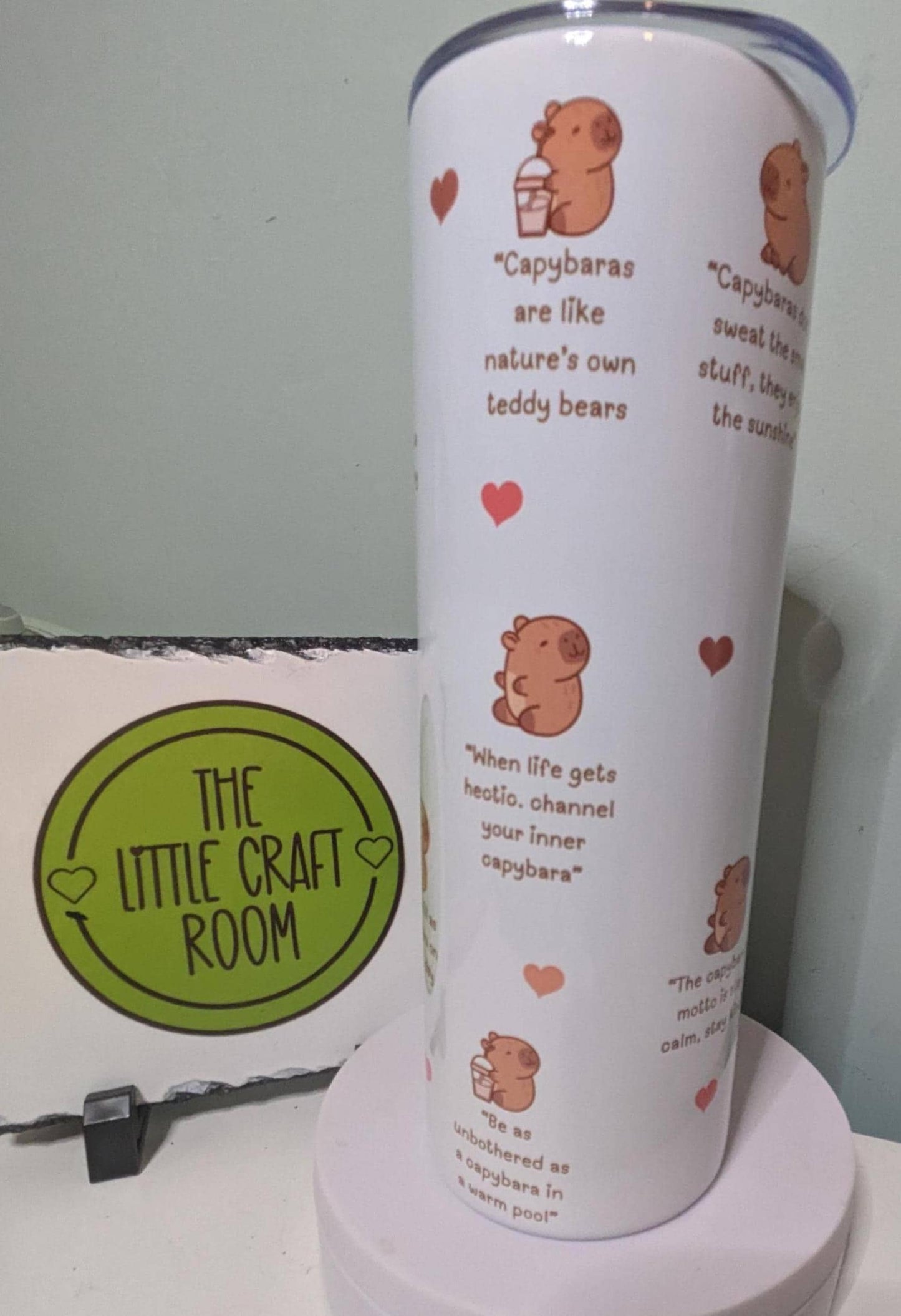 Capybara Affirmations Tumbler, Funny 20oz Insulated Travel Cup
