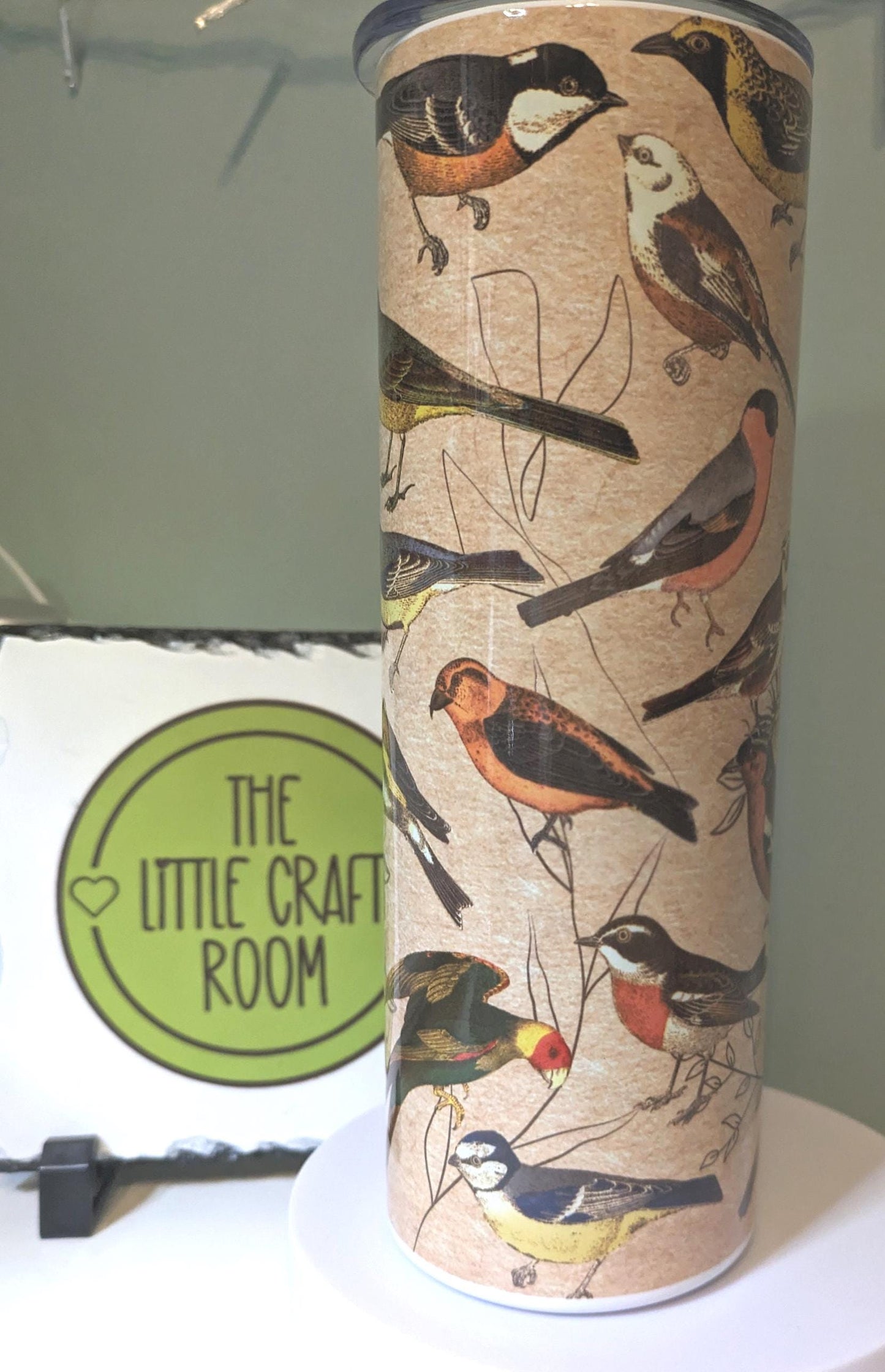 Birdwatcher Stainless Steel Tumbler, Vintage Bird Print, 20oz