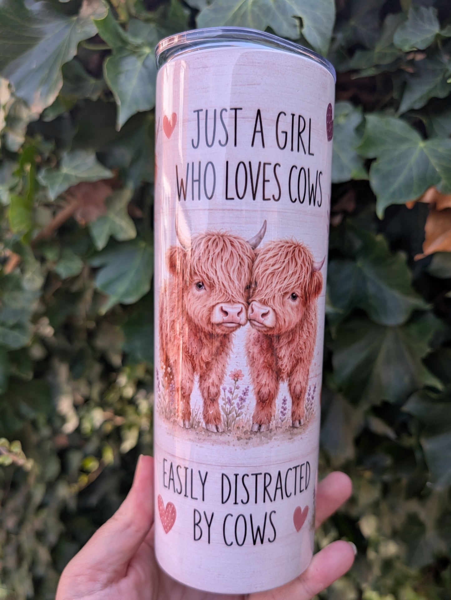 Highland cow funny phases 20oz tumbler