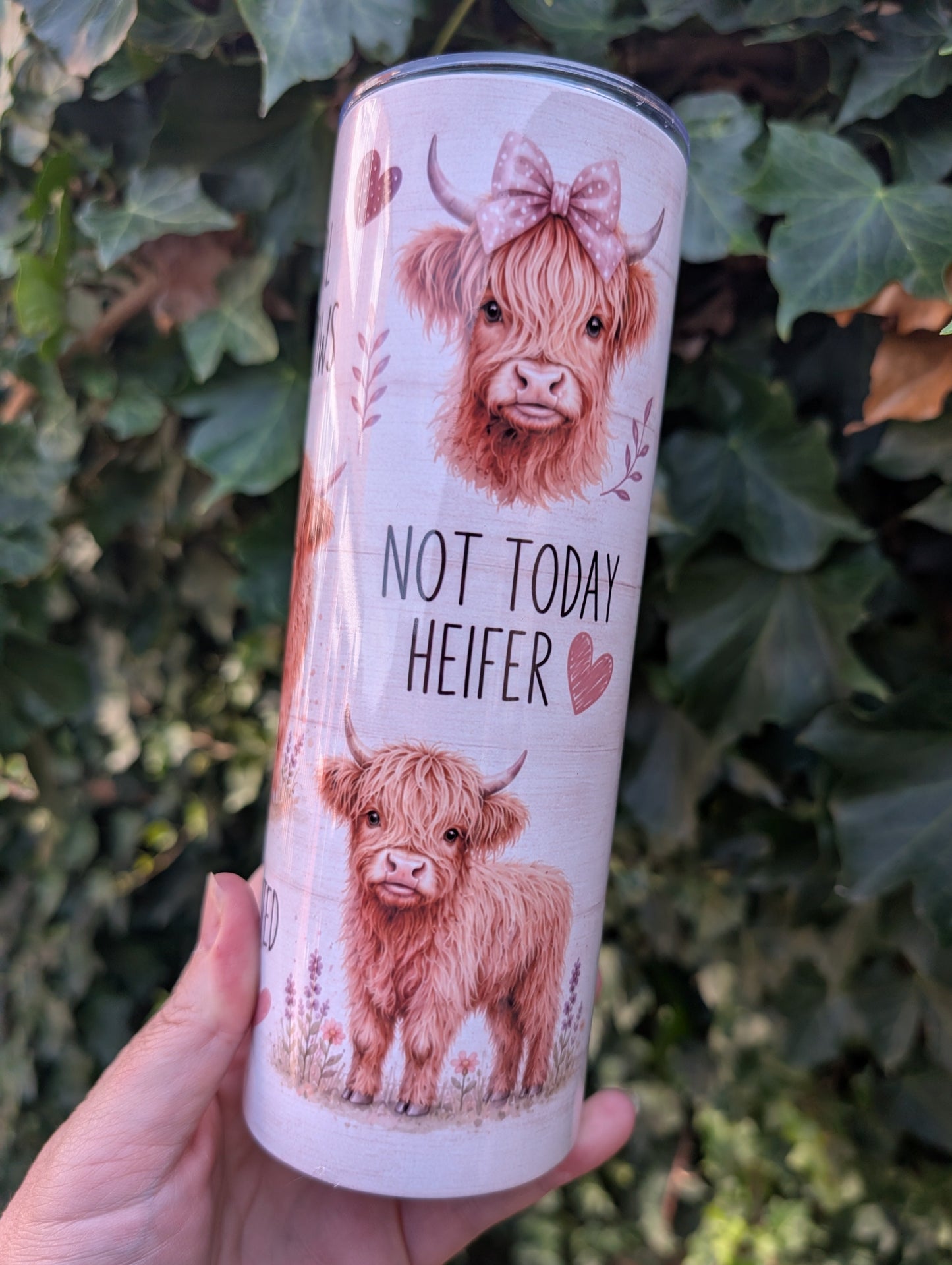 Highland cow funny phases 20oz tumbler