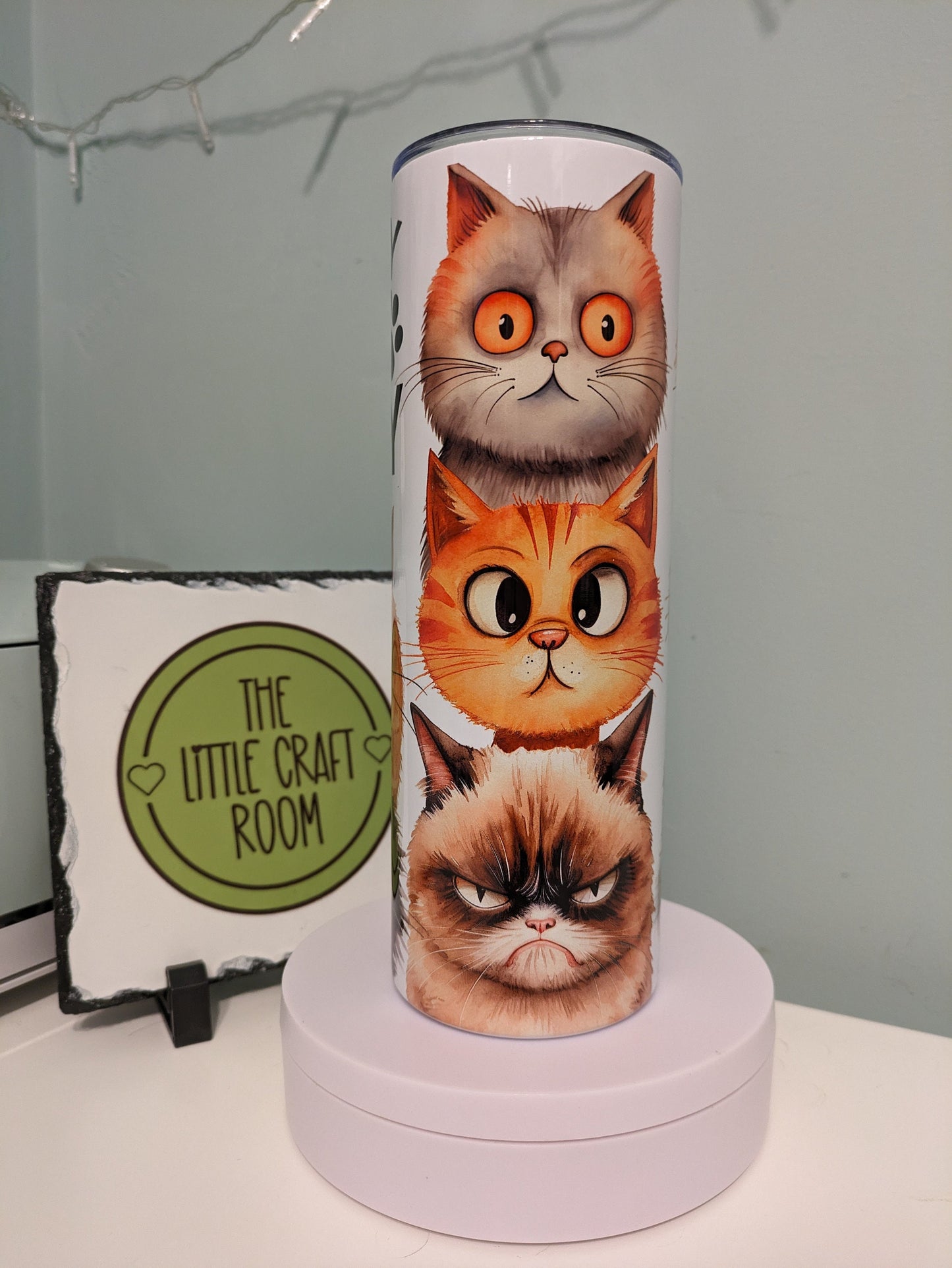 Crazy cat lady funny skinny tumbler gift