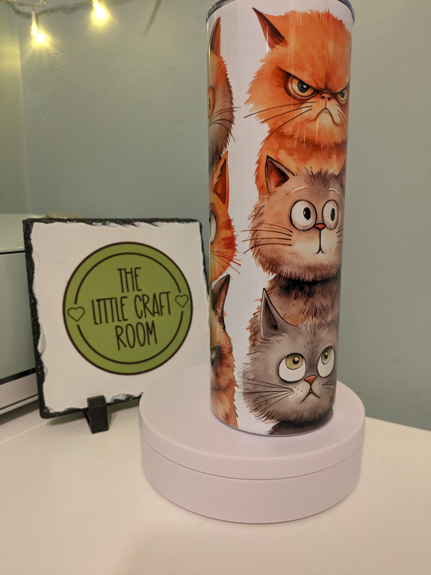 Crazy cat lady funny skinny tumbler gift